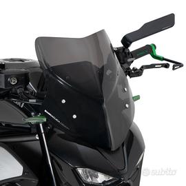 cupolino kawasaki z900 2025