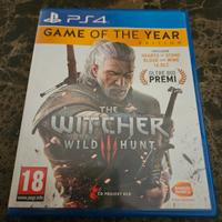 The Witcher 3 Wild Hunt 