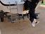 Immagine 3