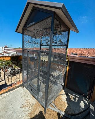 Gabbia e canarini