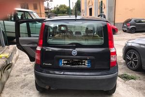 PANDA 169