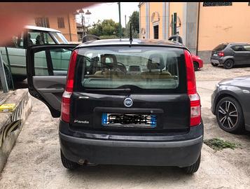 PANDA 169
