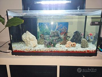 ACQUARIO "TETRA STARTER LINE LED DA 54 LITRI"