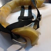 pettorina traino cani da slitta