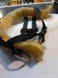 pettorina traino cani da slitta