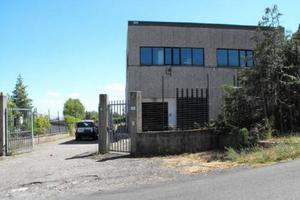 Capannone - Piancastagnaio