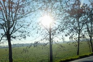 Terreno di 5800 m² a Fara Vicentino