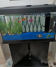 acquario 100L