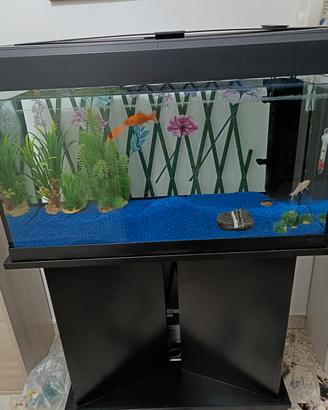 acquario 100L