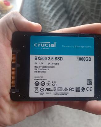 SSD memoria 