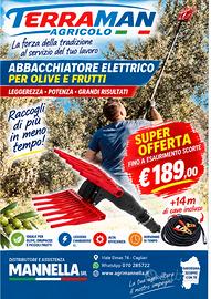 Abbacchiatore Terraman 550  batteria