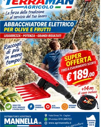 Abbacchiatore Terraman 550  batteria