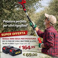 MINI SEGA PER POTATURA CON ASTA TELESCOPICA GLOBEX