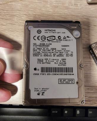 hard disk Apple 250 gb
