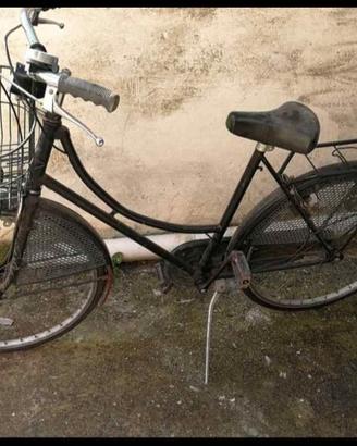 Bicicletta olandese 