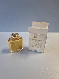 G. Ugo Stefani colonia S.M Novella