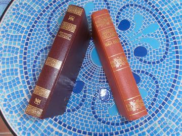 Ken Follett - Massimo Grillandi