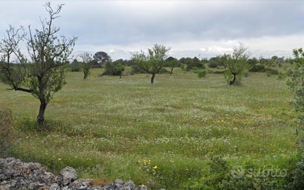 Mandorleto in località Belmonte, s.n.c, Crispiano