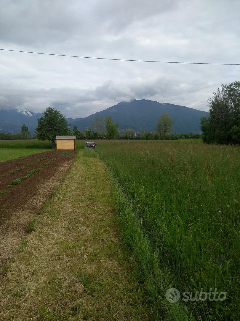 Terreno agricolo prato polifita - Vista 3