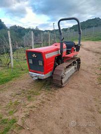 Trattore cingolato Massey Ferguson 55 cv