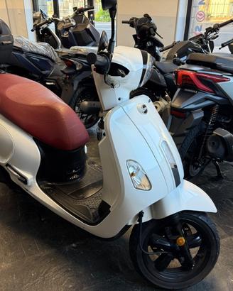 Sym Fiddle 50