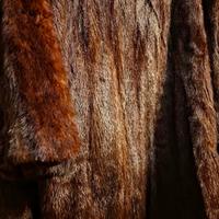 Pregiata Pelliccia di Visone Autentico - Taglia 48