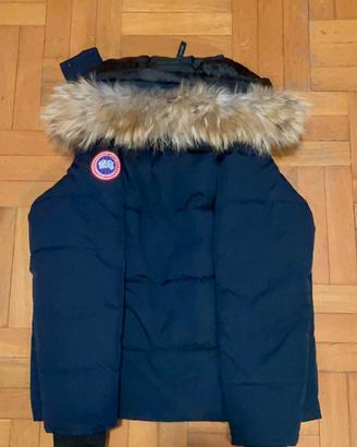 Canada Goose