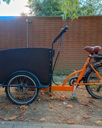 cargo bike 3 ruote 