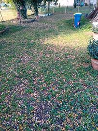 Casa indipendente in campagna abitabile