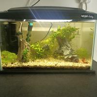 Acquario completo Newa Hobby 30Lt + accessori 