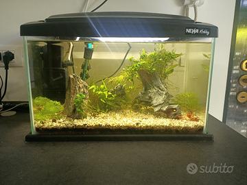 Acquario completo Newa Hobby 30Lt + accessori 