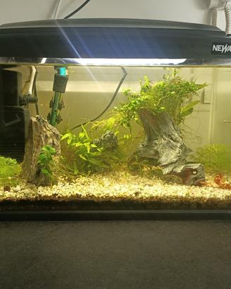 Acquario completo Newa Hobby 30Lt + accessori 