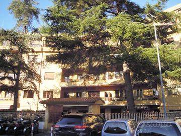 Appartamento Roma [Cod. rif 3390052ARG] (Montemari