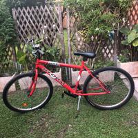 Mtb 26