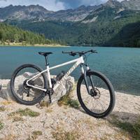 specialized rockhopper comp 29 