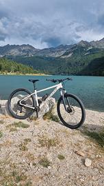 specialized rockhopper comp 29 