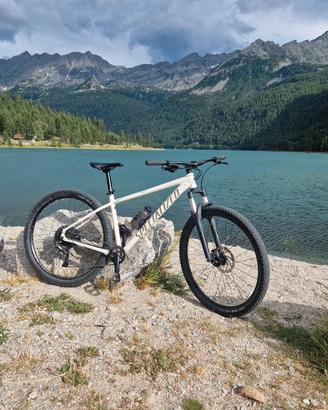 specialized rockhopper comp 29 