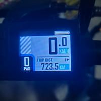 Bici pedalata assistita VIVO R1