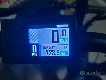 Bici pedalata assistita VIVO R1