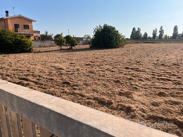 Terreno agricolo 2000mq