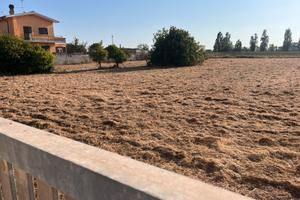 Terreno agricolo 2000mq