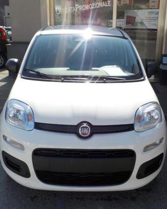 FIAT Panda MY25 - 1.0 FireFly Hybrid POP