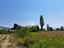 Immagine 12