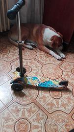 MONO PATTINO PER BAMBINO