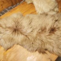 Pelli di pecora conciate