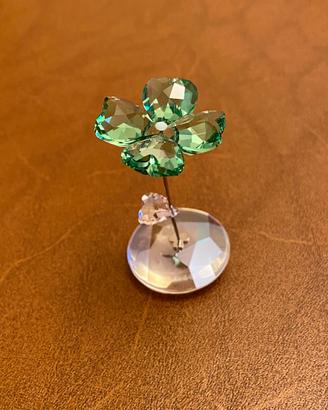 Swarovski "Liv" originale