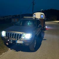 jeep+trailer per cavalli