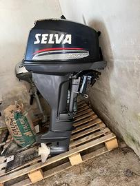 Motore Salva Delfin 15 cavalli