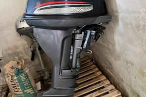 Motore Salva Delfin 15 cavalli