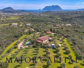 Villa - Olbia